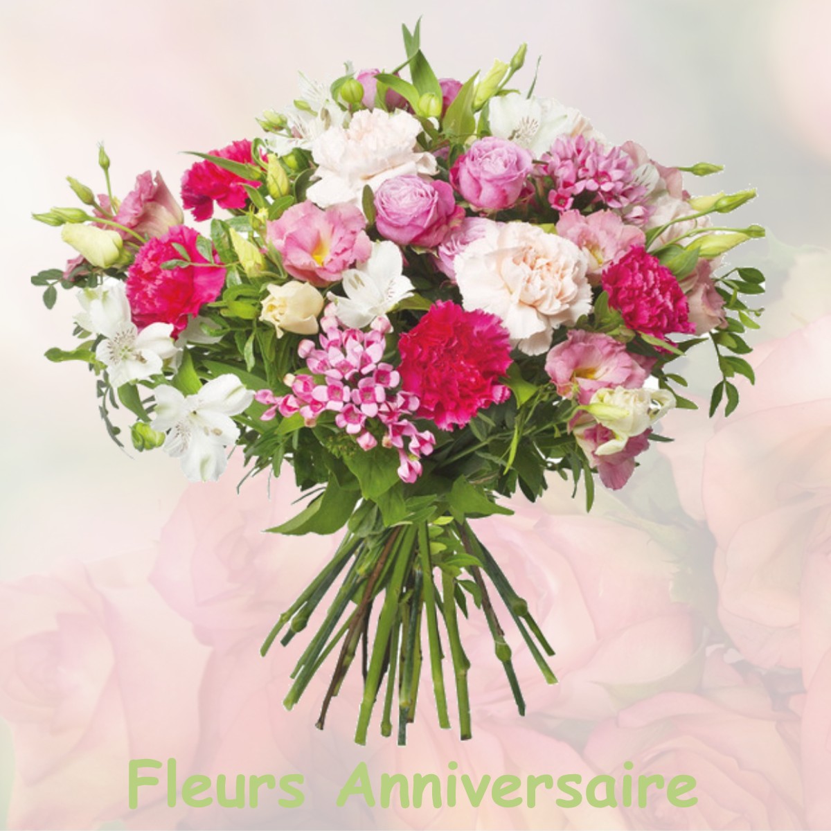fleurs anniversaire HOLACOURT